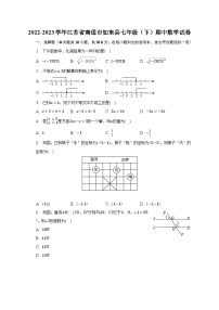 2022-2023学年江苏省南通市如东县七年级（下）期中数学试卷（含解析）