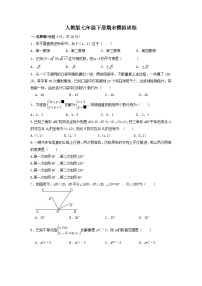 2022--2023学年人教版七年级数学下册期末模拟训练试题