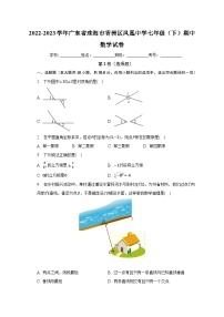 2022-2023学年广东省珠海市香洲区凤凰中学七年级（下）期中数学试卷（含解析）