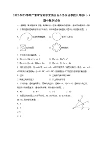 2022-2023学年广东省深圳市龙岗区百合外国语学校八年级（下）期中数学试卷（含解析）