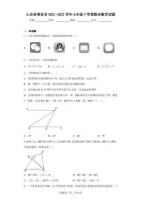 山东省青岛市2021-2022学年七年级下学期期末数学试题