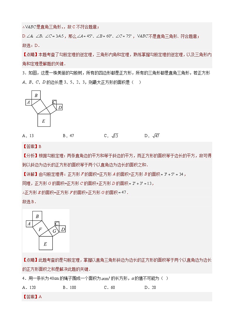 （滿(mǎn)分卷）期末考試卷（解析版）（滬科版）第3頁(yè)