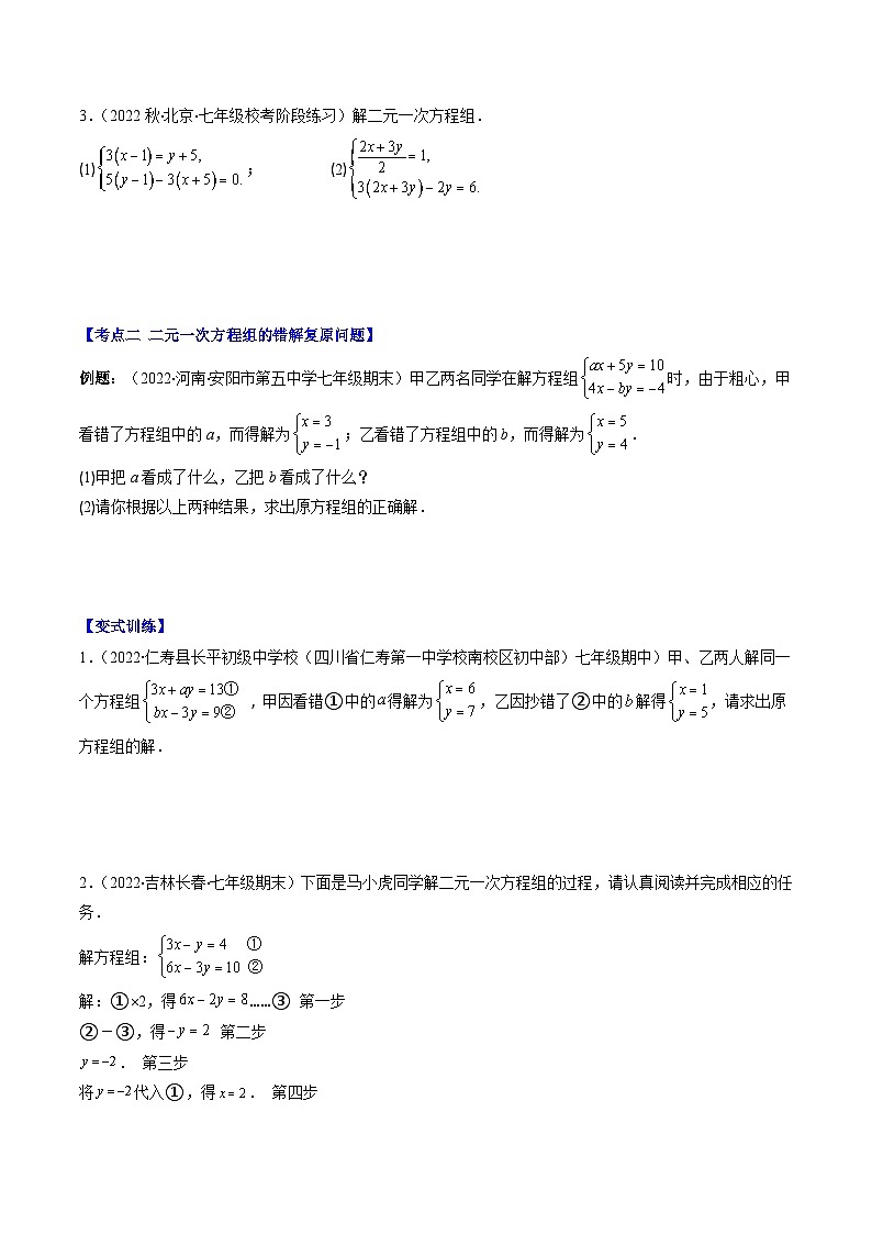 专题02 解题技巧专题:解二元一次方程组压轴题五种模型全攻略(原卷版)第2页