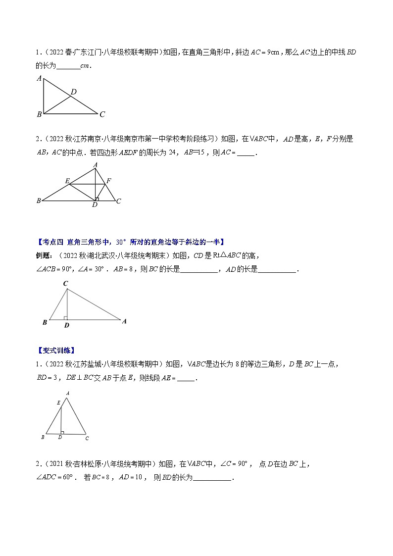 专题01 直角三角形的性质和判定压轴题六种模型全攻略(原卷版)第3页