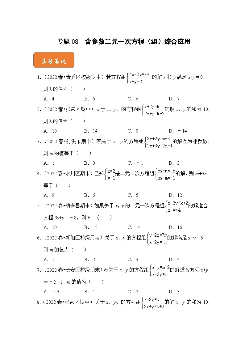 【期末满分攻略】2022-2023学年浙教版七年级数学下册讲学案-专题08 含参数二元一次方程（组）综合应用01