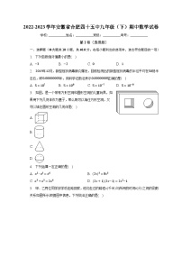 2022-2023学年安徽省合肥四十五中九年级（下）期中数学试卷（含解析）