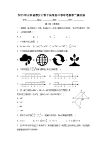 2023年山东省泰安市东平县东岳中学中考数学二模试卷（含解析）
