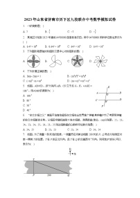 2023年山东省济南市历下区九校联合中考数学模拟试卷（含解析）