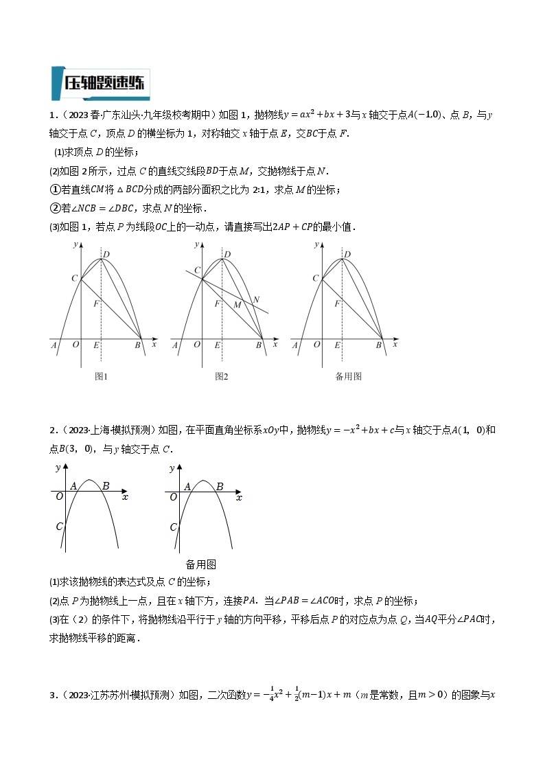 2023年中考数学压轴题专项训练 压轴题09二次函数与角度数量关系问题（试题+答案）03