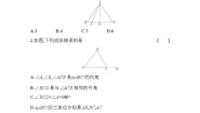 初中数学华师大版七年级下册1 认识三角形巩固练习