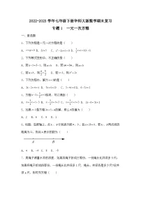 2022-2023学年七年级下册华师大版数学期末复习— 专题1 一元一次方程