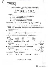 2023年重庆市中考数学真题(B卷)