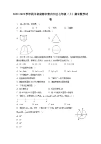 2022-2023学年四川省成都市青白江区七年级(上)期末数学试卷(含解析)
