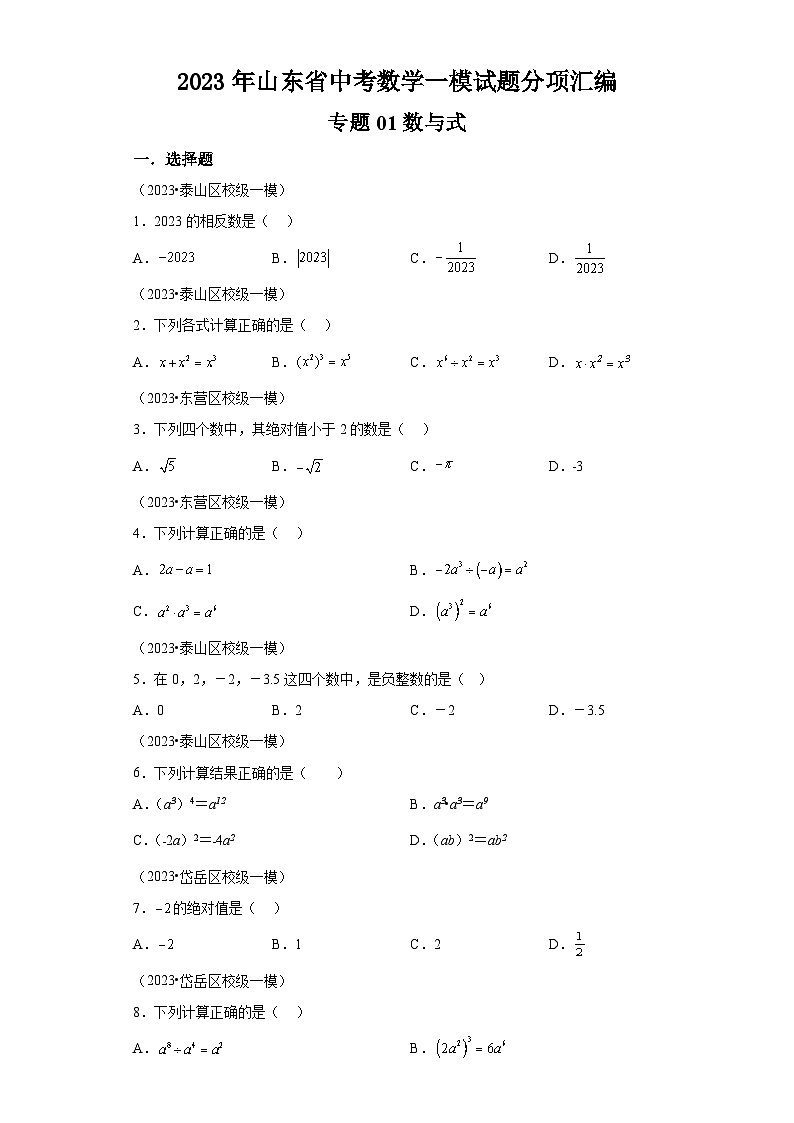2023年山东省中考数学一模试题分项汇编 专题01数与式第1页