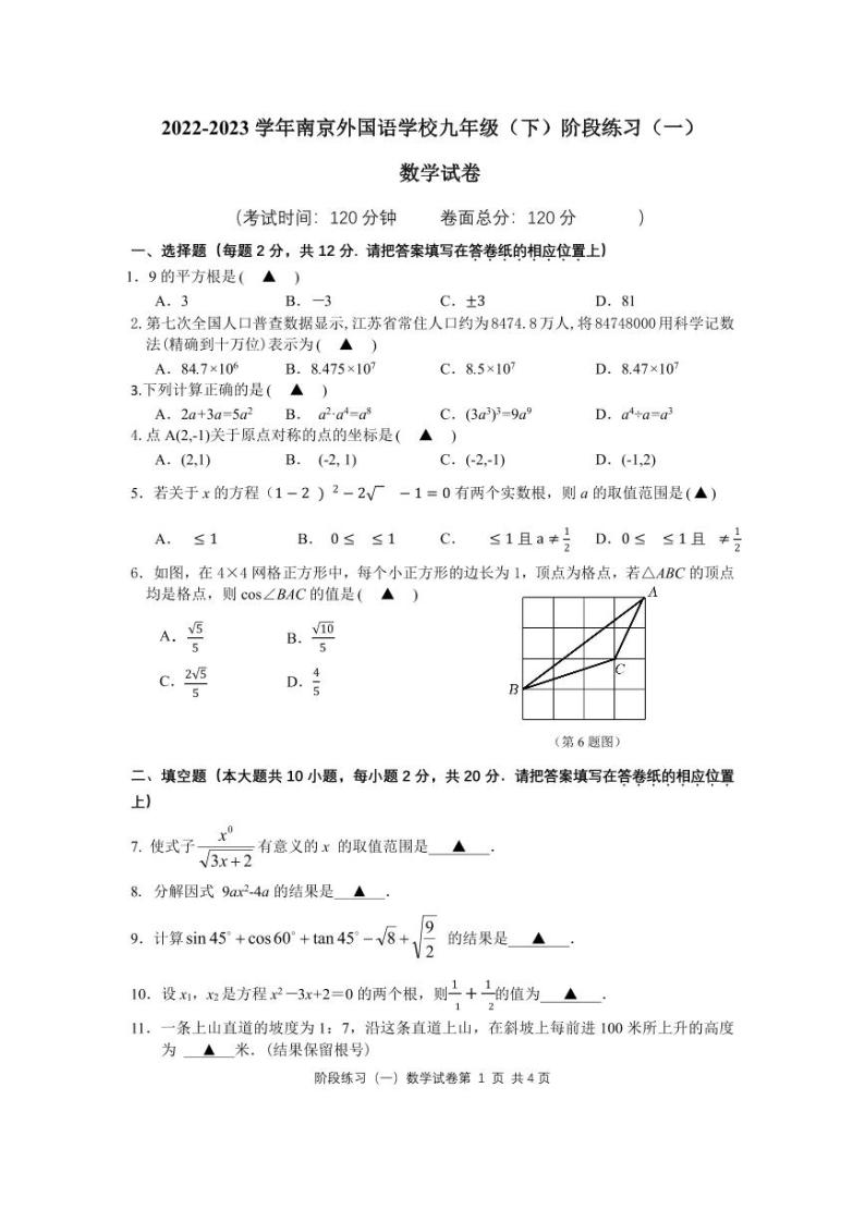 江苏省南京外国语学校2022—2023学年下学期九年级阶段练习(一)+数学试卷01