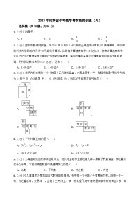 2023年河南省中考数学考前热身训练（九）