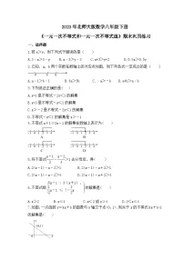 2023年北师大版数学八年级下册《一元一次不等式和一元一次不等式组》期末巩固练习（含答案）