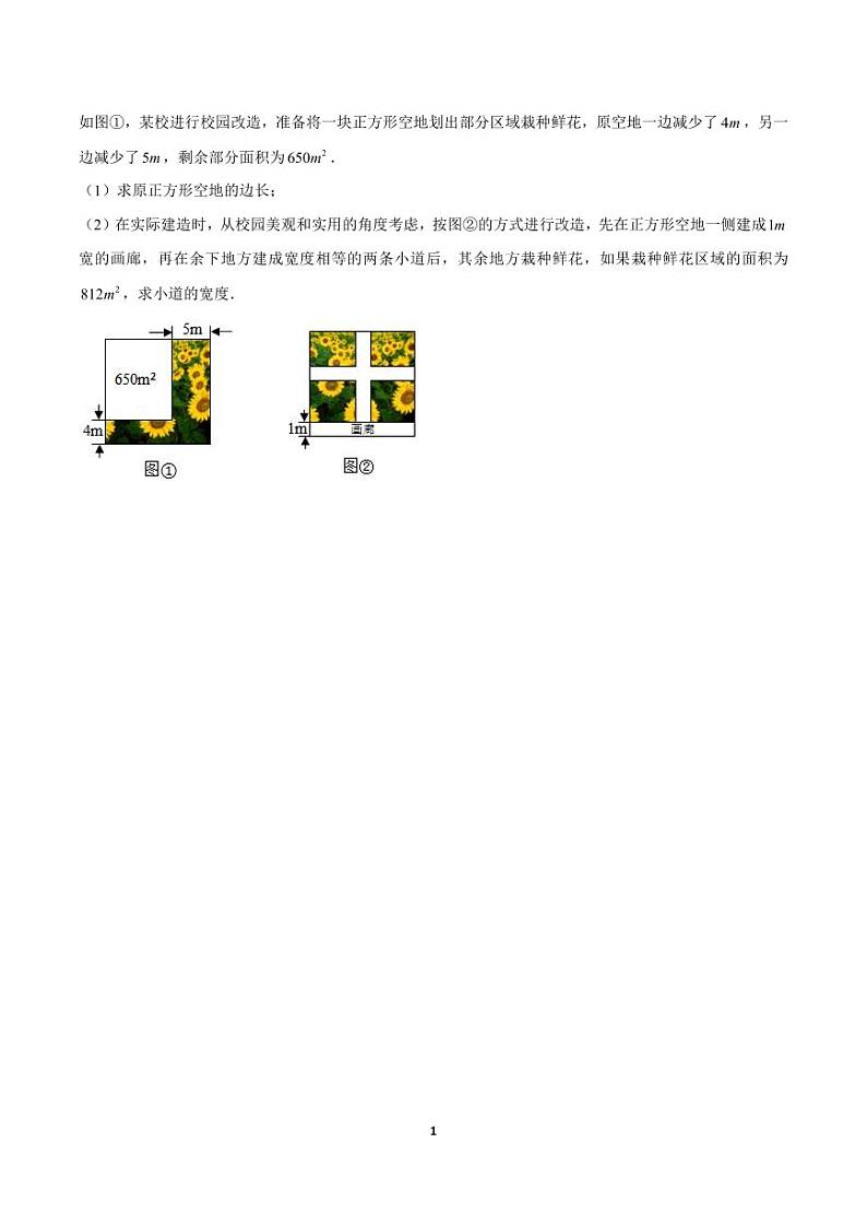 中考数学压轴题(13)——一元二次方程第1页
