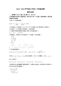 湖北省武汉市硚口区2023届九年级下学期3月质量检测数学试卷(含答案)
