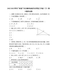 2022-2023学年广东省广州市南沙实验外语学校八年级（下）期中数学试卷（含解析）