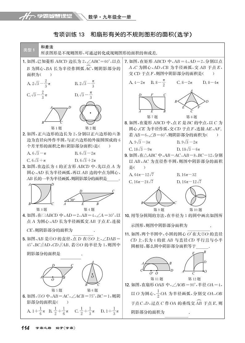 24 专项训练13 和扇形有关的不规则图形的面积(选学)第1页