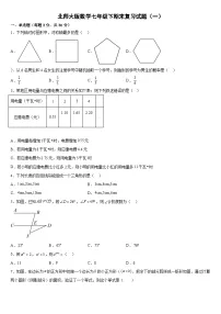 2022--2023学年北师大版数学七年级下册期末复习试卷1(含答案)