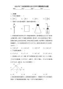 2023年广东省深圳市石岩公学中考模拟数学试题（含解析）