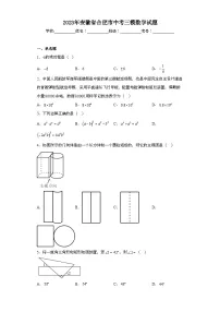 2023年安徽省合肥市中考三模数学试题(无答案)