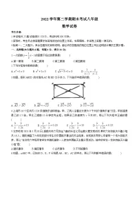 上海市宝山区2022-2023学年八年级下学期期末数学试题
