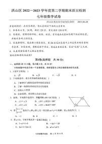 湖北省武汉洪山区2022-2023学年七年级下学期期末数学试卷