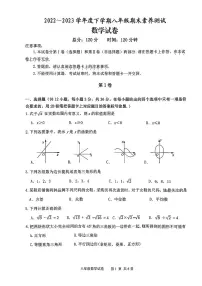 广西南宁市邕宁区2022-2023学年八年级下学期期末数学试题