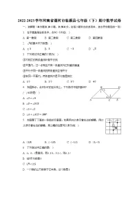 2022-2023学年河南省漯河市临颍县七年级（下）期中数学试卷（含解析）