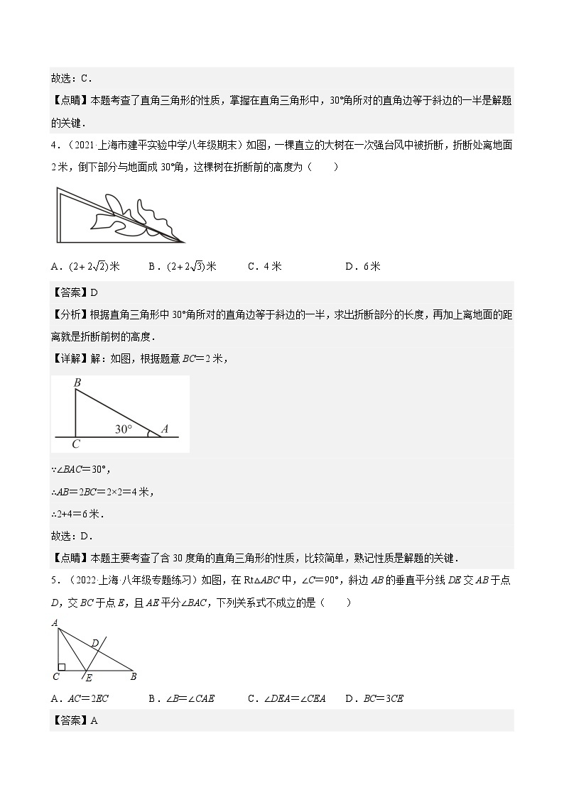 沪教版五四制数学年八年级上册19.8《直角三角形性质》（第2课时）精品教学课件+作业（含答案）03