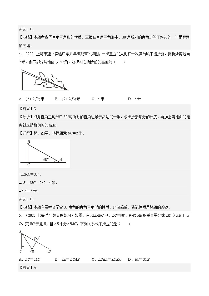 沪教版五四制数学年八年级上册19.8《直角三角形性质》(第2课时)精品教学课件+作业(含答案)03