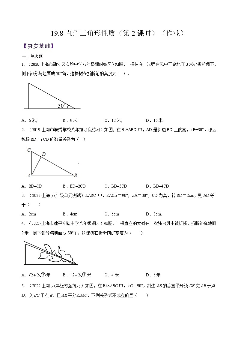 沪教版五四制数学年八年级上册19.8《直角三角形性质》(第2课时)精品教学课件+作业(含答案)01