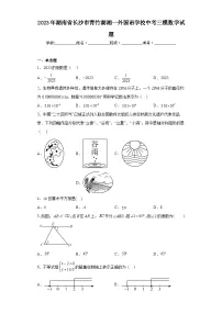 2023年湖南省长沙市青竹湖湘一外国语学校中考三模数学试题（含解析）