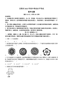 2023年山东省日照市中考数学真题