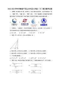 2022-2023学年河南省平顶山市叶县七年级（下）期末数学试卷（含解析）