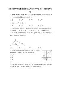 2022-2023学年安徽省芜湖市无为三中八年级（下）期中数学试卷（含解析）