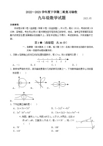 2023年山东省临沂市临沭县中考二模数学试题