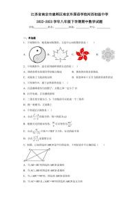 江苏省南京市建邺区南京外国语学校河西初级中学2022-2023学年八年级下学期期中数学试题（含答案解析）