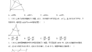 初中24.4  相似三角形的判定课时训练