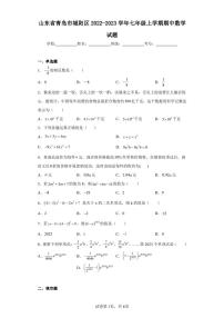 山东省青岛市城阳区2022-2023学年七年级上学期期中数学试题