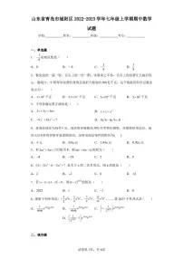 山东省青岛市城阳区2022-2023学年七年级上学期期中数学试题