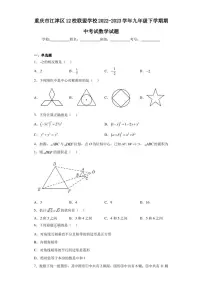 重庆市江津区12校联盟学校2022-2023学年九年级下学期期中考试数学试题（含答案解析）
