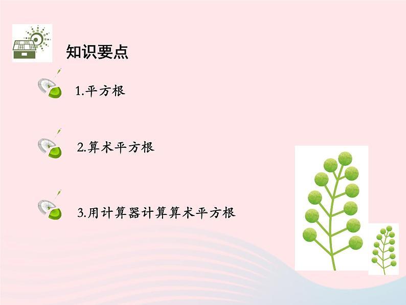 11.1.1 平方根 华东师大版八年级数学上册教学课件02
