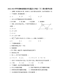 2022-2023学年湖南省湘西州凤凰县七年级（下）期末数学试卷（含解析）