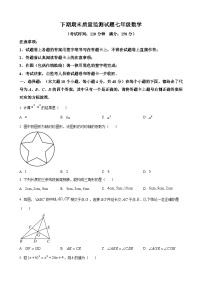 七年级数学暑假作业