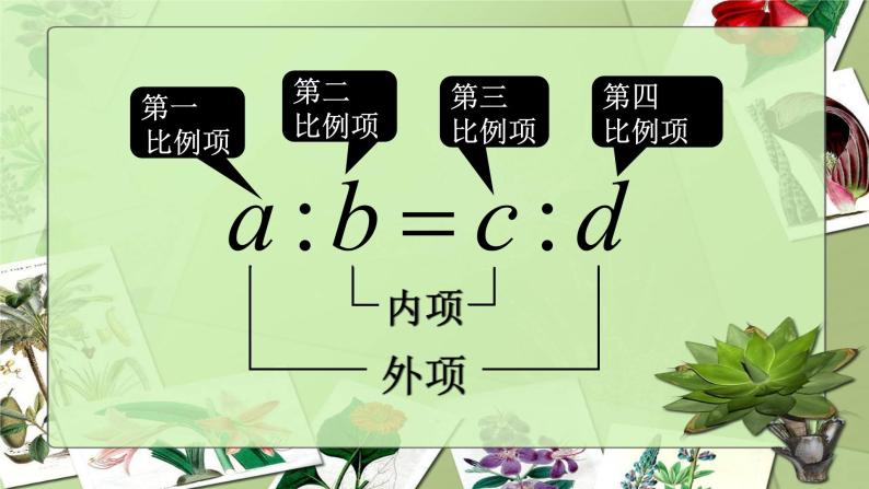 3.3比例-沪教版（上海）六年级数学第一学期课件06