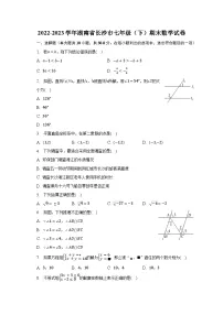 2022-2023学年湖南省长沙市七年级（下）期末数学试卷（含解析）
